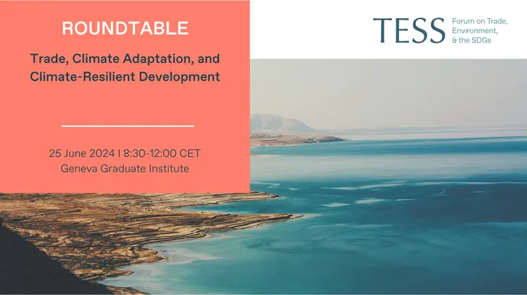 Банер круглого столу TESS про торгівлю, кліматичну адаптацію та сталий розвиток у Женеві