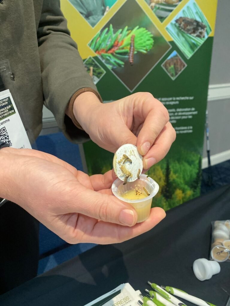 Руки зразками лісових шкідників на стенді форуму Forest Pest Management