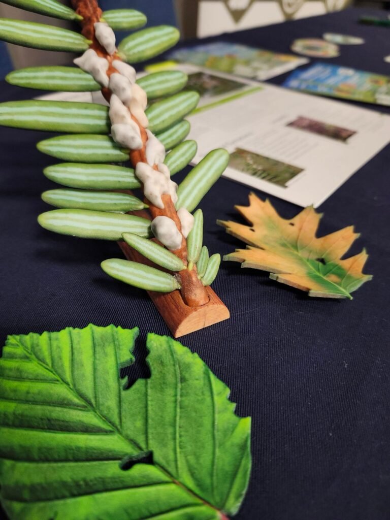 Експозиція з зразками пошкодженого листя та інвазивних комах на Forest Pest Management Forum