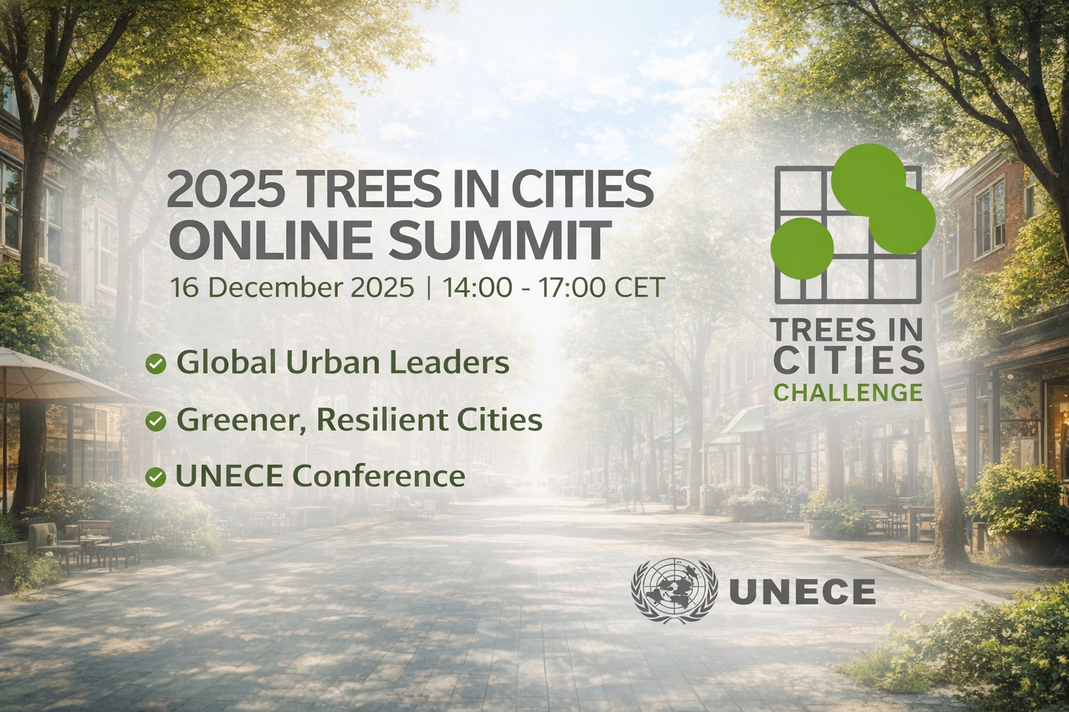 Банер Trees in Cities Online Summit 2025 з логотипами та датою проведення