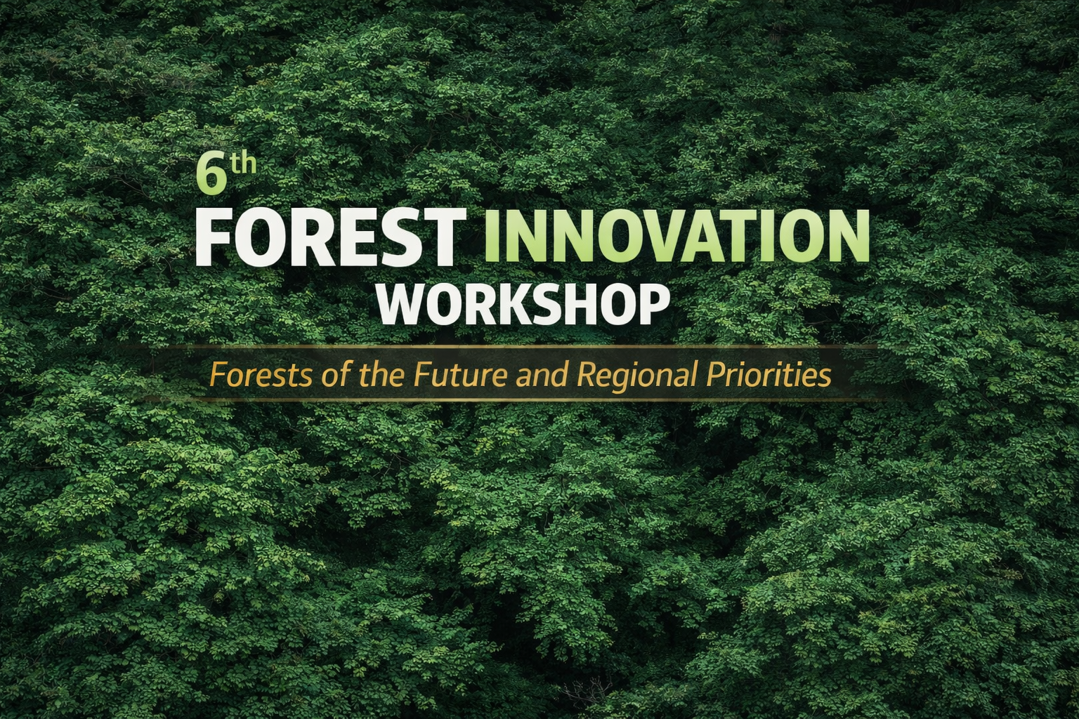 Банер 6th Forest Innovation Workshop на фоні лісу