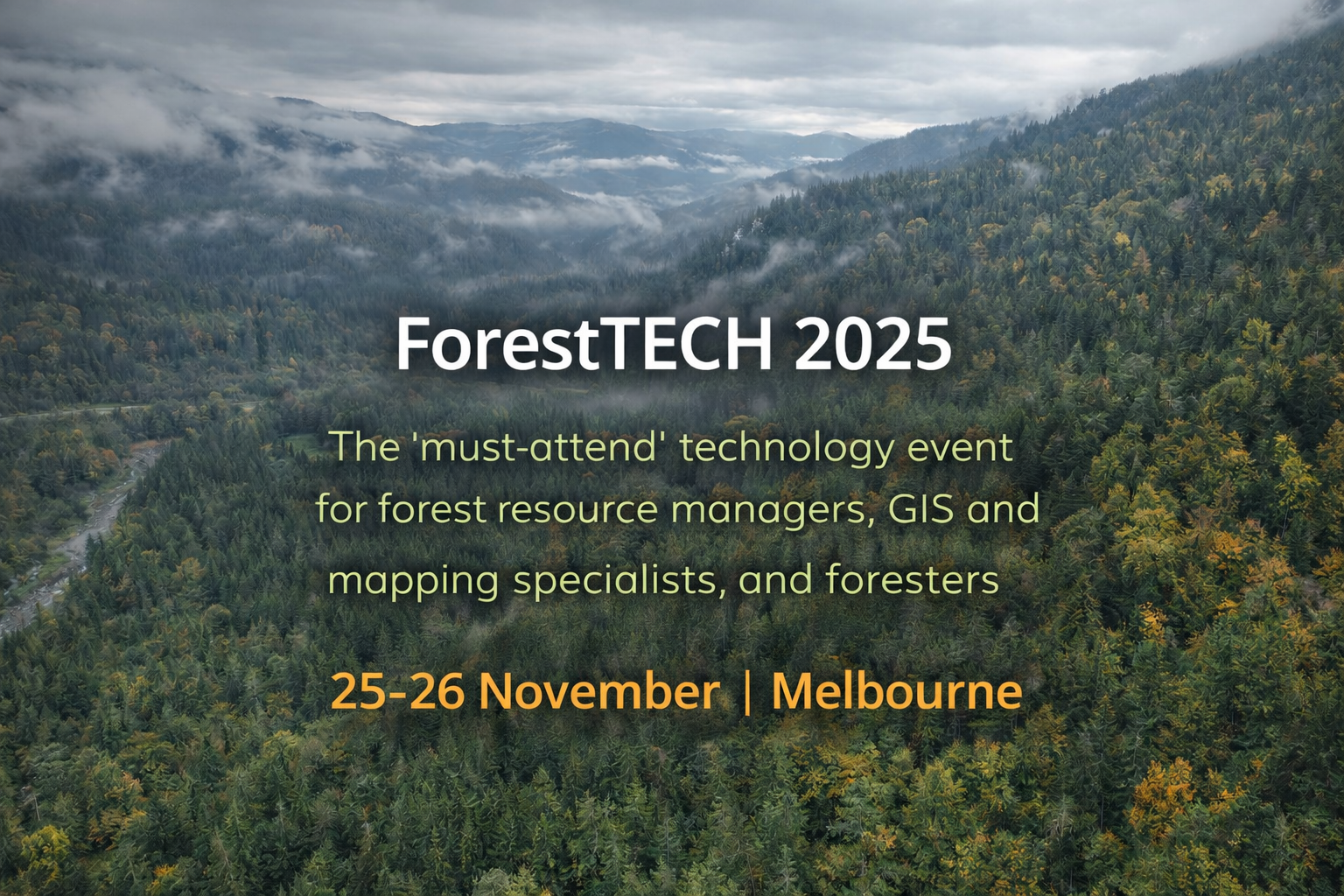 Панорамний вид лісу в хмарах — банер до статті про ForestTECH 2025
