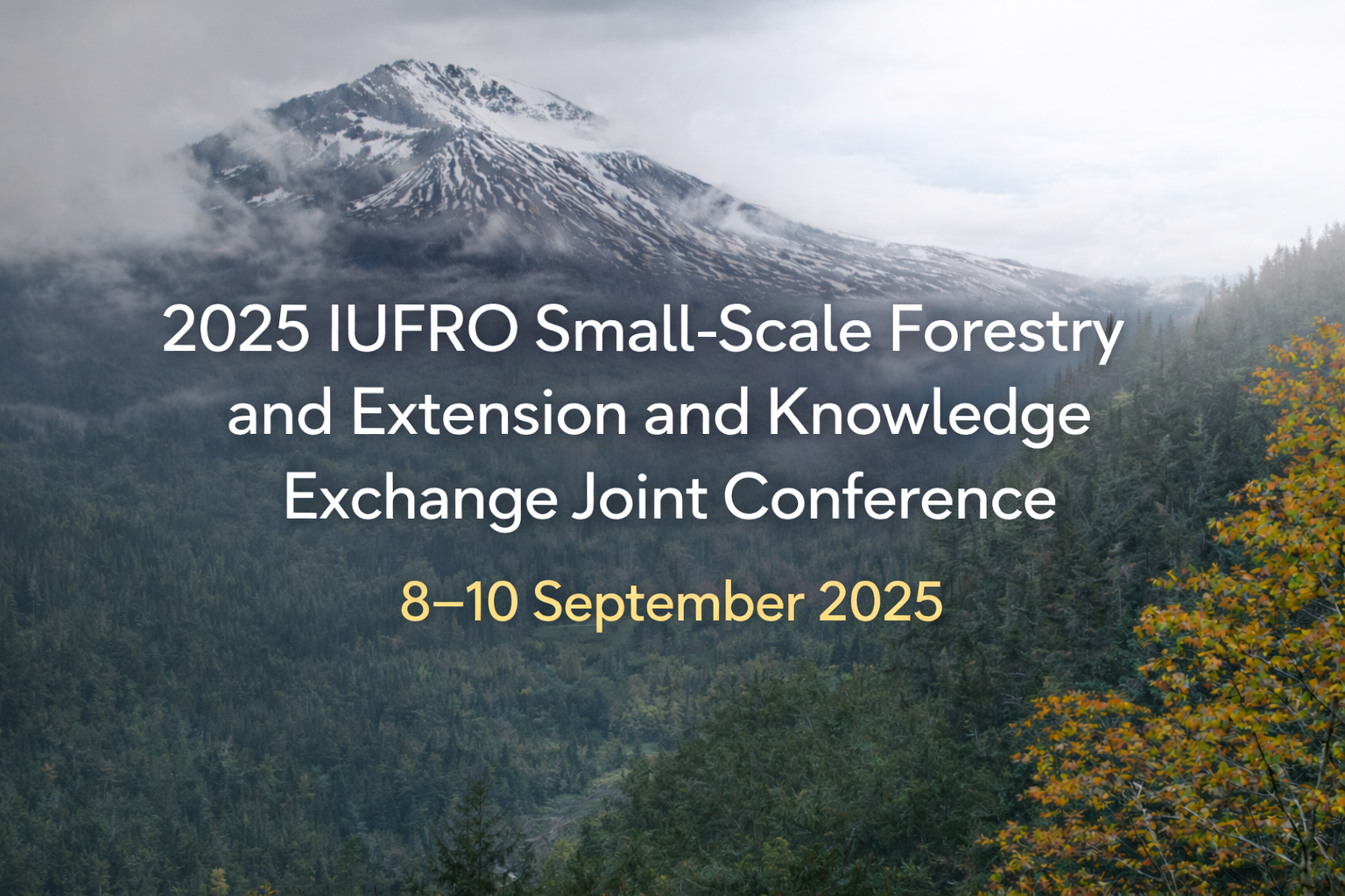 Банер конференції IUFRO 2025 на фоні гірського ландшафту