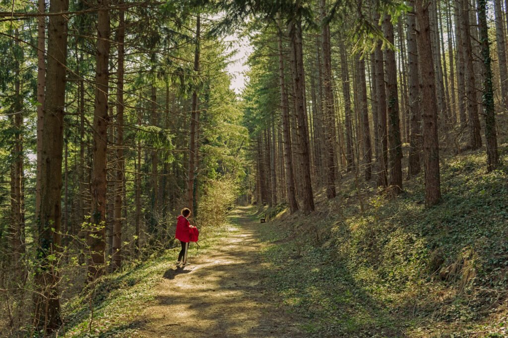 Учасник польової екскурсії під час IUFRO Joint Conference 2025 у лісовому масиві